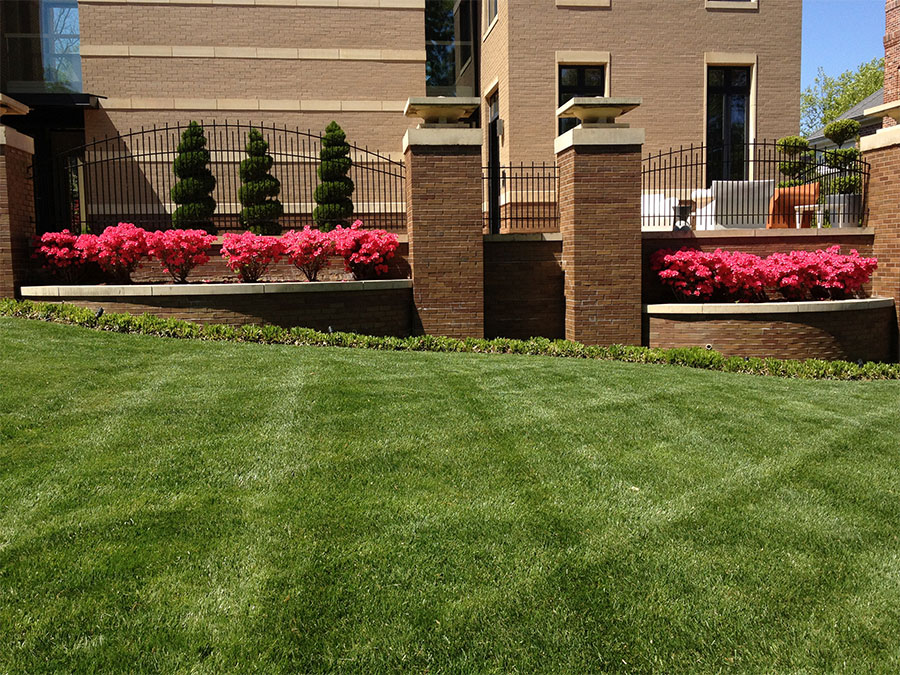 Professional Lawn Care and Turf Services from Outdoor Creative Design in St. Louis, Missouri.