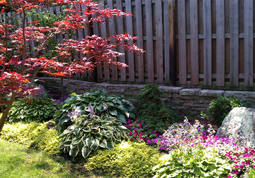 Ornamental Landscaping Design using native and exotic plants from Outdoor Creative Design.
